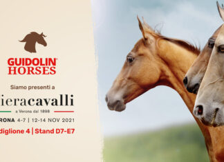 FieraCavalli